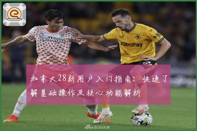 加拿大28新用户入门指南:快速了解基础操作及核心功能解析