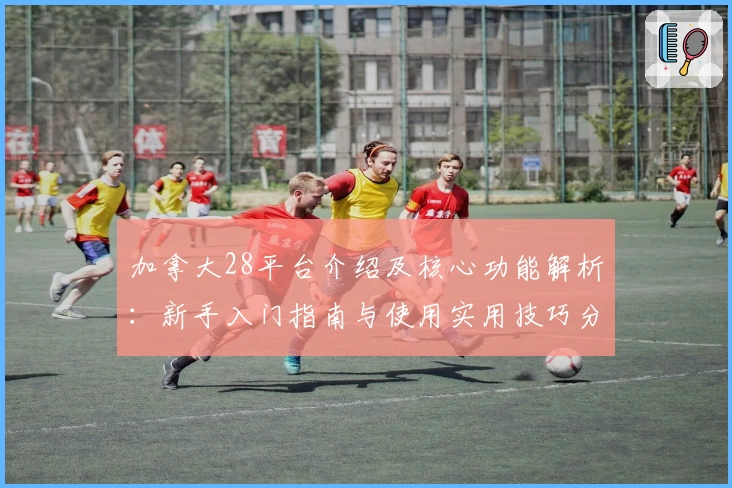 加拿大28平台介绍及核心功能解析：新手入门指南与使用实用技巧分享