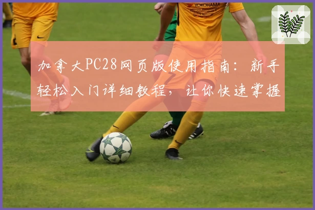 加拿大PC28网页版使用指南:新手轻松入门详细教程,让你快速掌握操作核心技巧