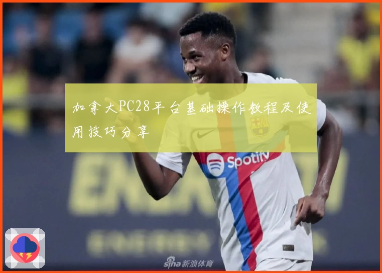 加拿大PC28平台基础操作教程及使用技巧分享