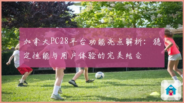 加拿大PC28平台功能亮点解析:稳定性能与用户体验的完美结合