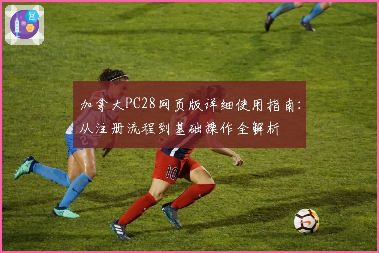 加拿大PC28网页版详细使用指南：从注册流程到基础操作全解析