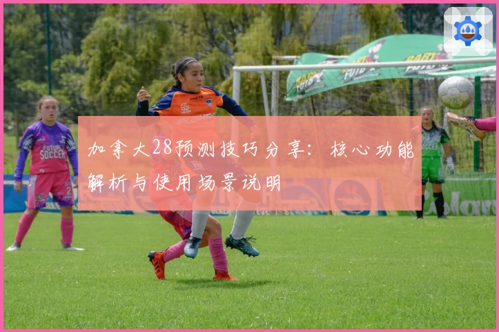 加拿大28预测技巧分享：核心功能解析与使用场景说明