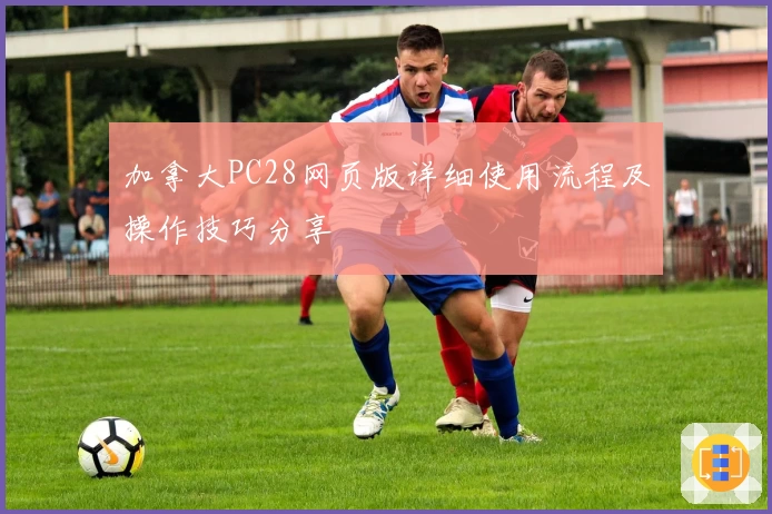 加拿大PC28网页版详细使用流程及操作技巧分享