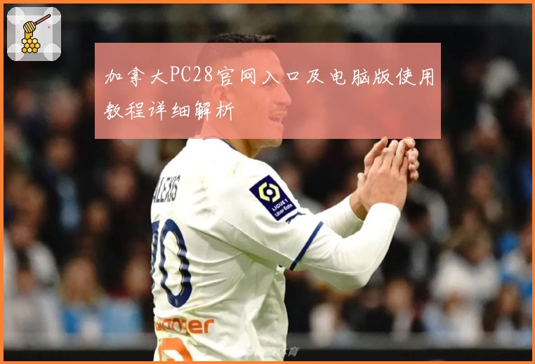 加拿大PC28官网入口及电脑版使用教程详细解析