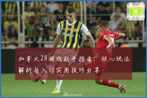 加拿大28游戏新手指南:核心玩法解析与入门实用技巧分享