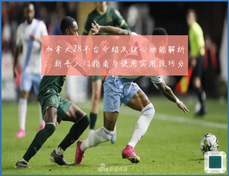 加拿大28平台介绍及核心功能解析：新手入门指南与使用实用技巧分享