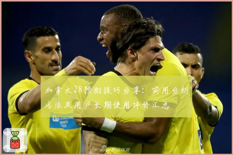 加拿大28预测技巧分享：实用分析方法及用户长期使用评价汇总