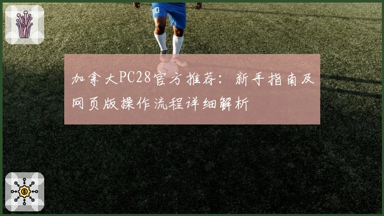 加拿大PC28官方推荐：新手指南及网页版操作流程详细解析