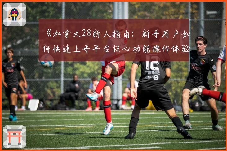 《加拿大28新人指南：新手用户如何快速上手平台核心功能操作体验》