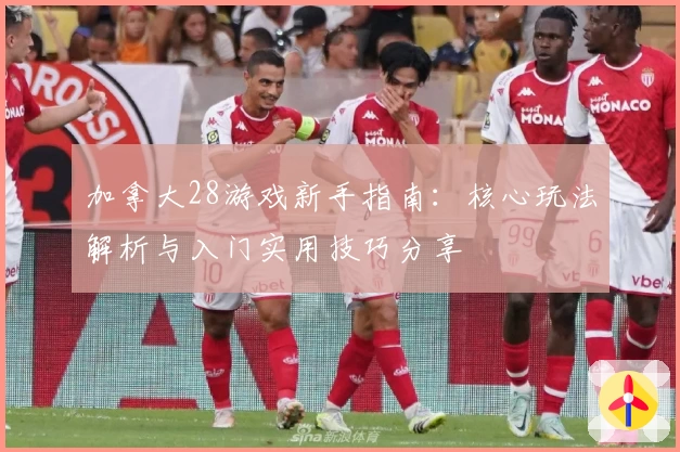 加拿大28游戏新手指南：核心玩法解析与入门实用技巧分享