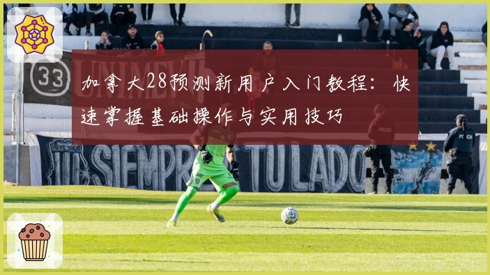 加拿大28预测新用户入门教程：快速掌握基础操作与实用技巧