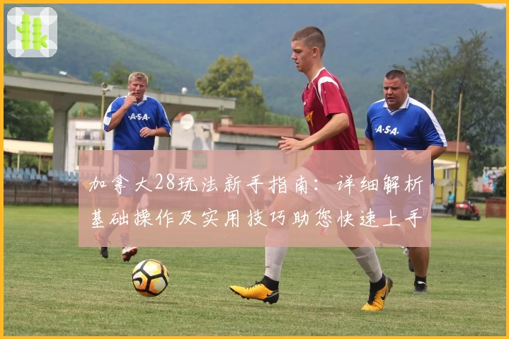 加拿大28玩法新手指南：详细解析基础操作及实用技巧助您快速上手